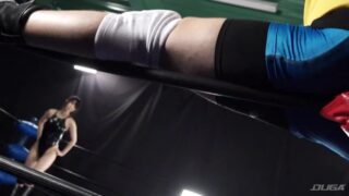 デンジャラス・ヒール・ミックス・バイオレンス Vol.1